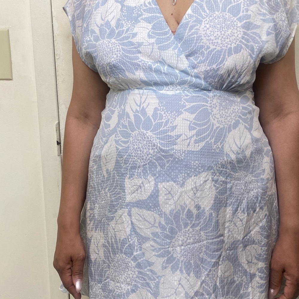 Madewell Light Blue Floral Midi Dress